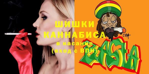 дурь Осташков