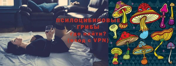 прущие крисы Абаза
